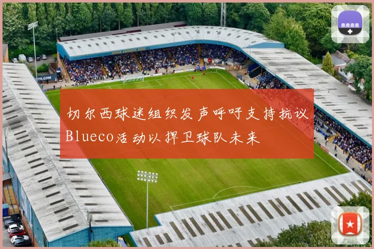 切尔西球迷组织发声呼吁支持抗议Blueco活动以捍卫球队未来
